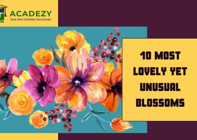 10 Most Lovely yet Unusual (Blossoms)